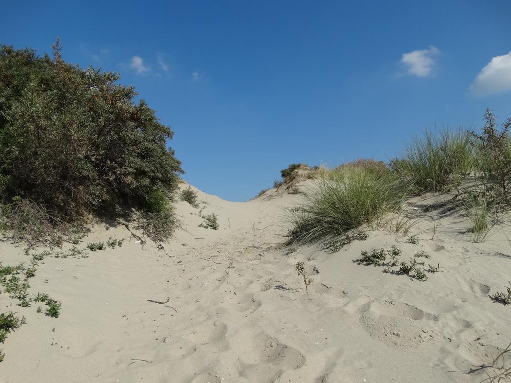 Appartement Aanzee Hoek van Holland Rum bild